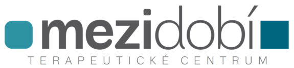 Mezidobí